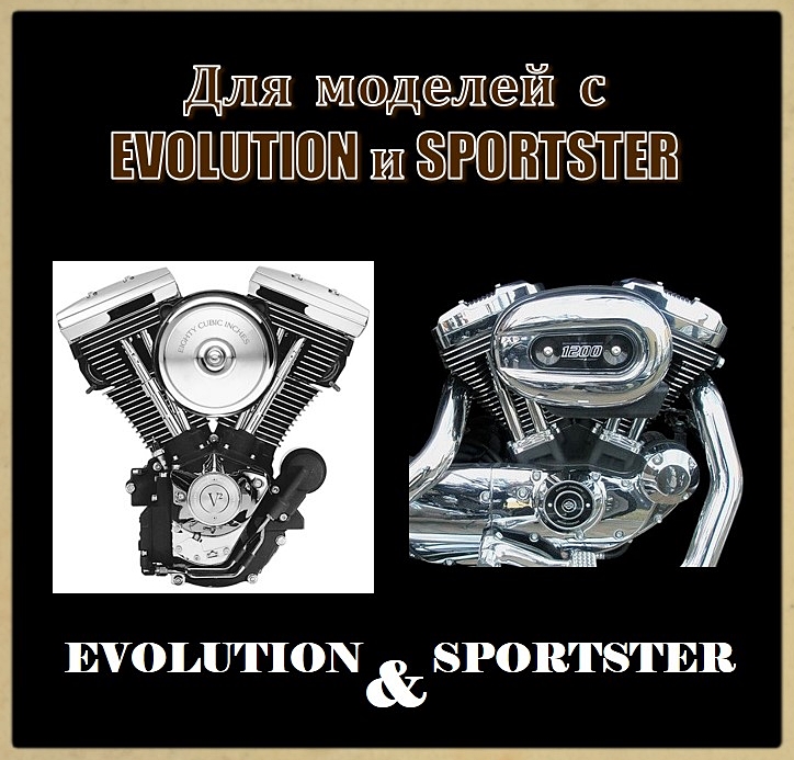 Для EVOLUTION и SPORTSTER