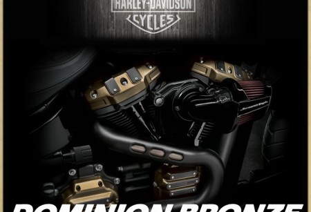 Коллекция DOMINION BRONZE для FAT BOB 2018 Коллекция DOMINION BRONZE для FAT BOB 2018