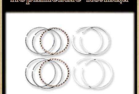 Поршневые кольца Поршневые кольца