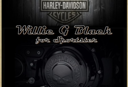 2.07 Коллекция Willie-G Black для HD Sportster 2.07 Коллекция Willie-G Black для HD Sportster