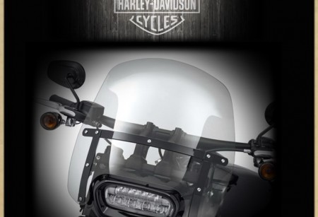 Ветровые стёкла для FAT BOB 2018