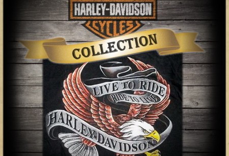 4.08 Коллекция Live to Ride Gold для Touring